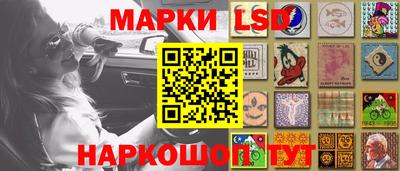 ешки Ставрополь