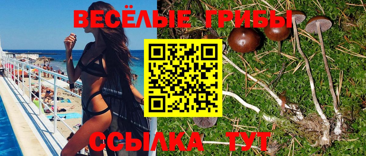 Галлюциногенные грибы Psilocybe Луга