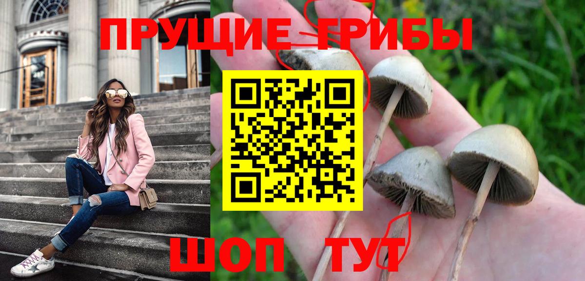 COCAIN  Луга  Вход с VPN  КОКАИН  Мефедрон кристаллы  МАРИХУАНА  КЕТАМИН  ГАШИШ  MDMA  МАРИХУАНА 