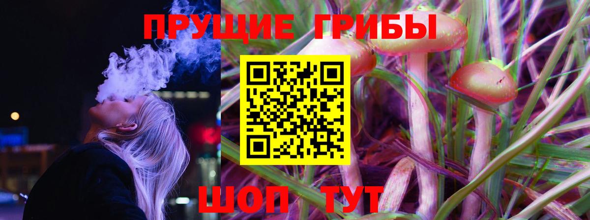 Галлюциногенные грибы GOLDEN TEACHER  Псилоцибиновые грибы Psilocybe  Луга  Вход с VPN 